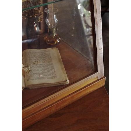 ガラスケース ショーケース おしゃれ コレクションケース レトロ