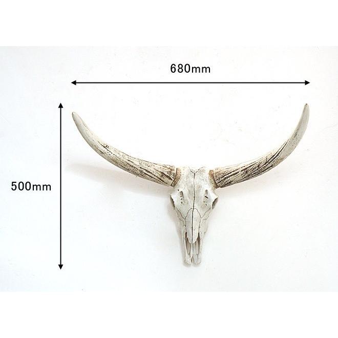 壁飾り 壁掛け オブジェ インテリア スカル バッファロー 水牛 レトロ