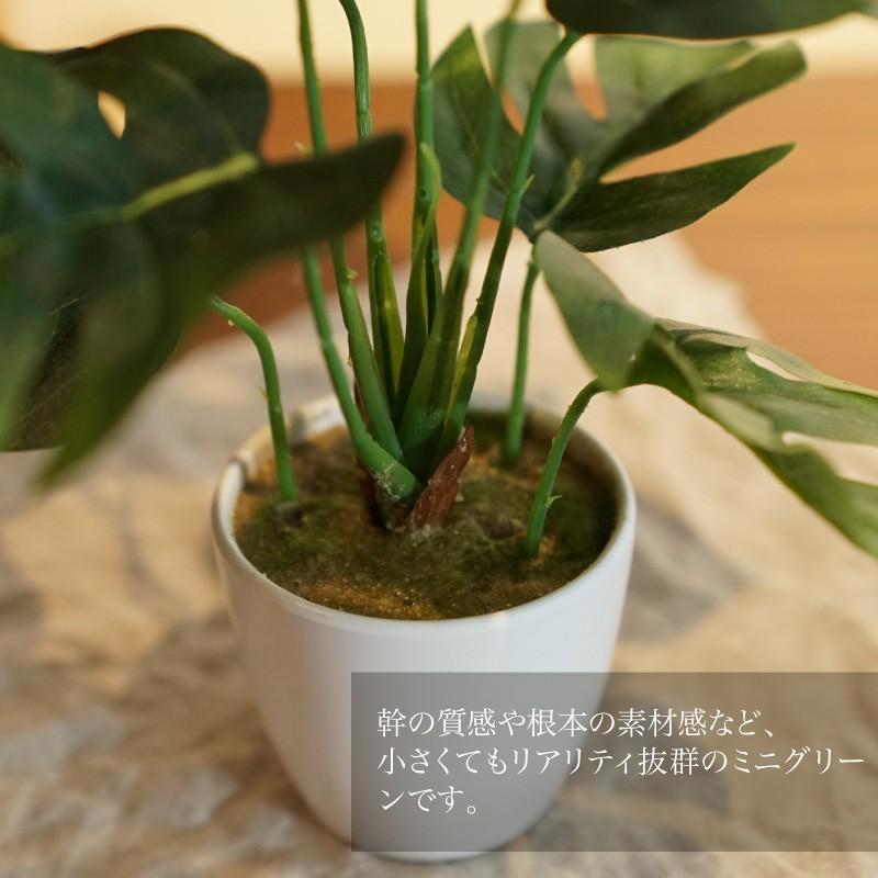 神戸花物語 フェイクグリーン モンステラ ミニ 卓上 人工 観葉植物