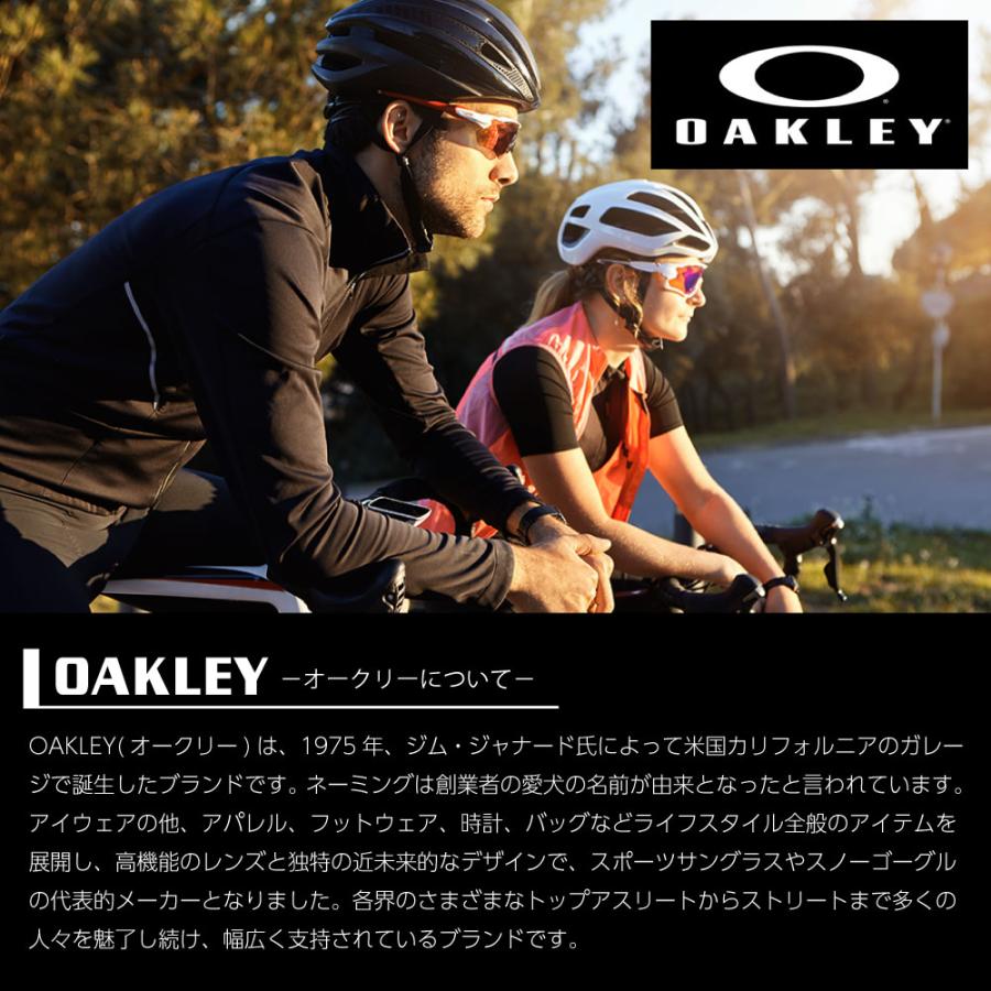 OAKLEY（オークリー） マイクロバッグ ゴーグル用 収納袋 クリーニング