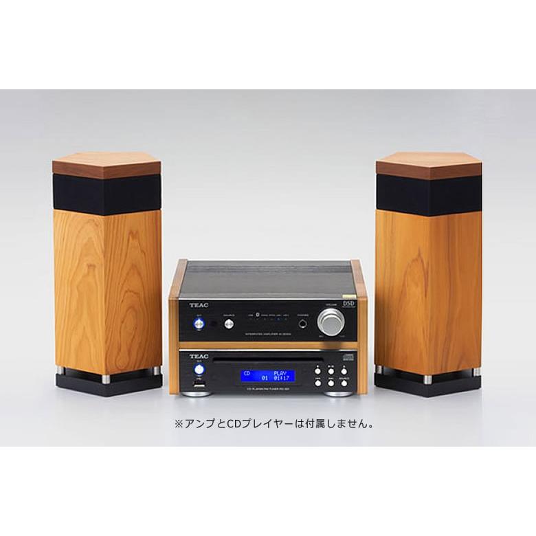 リグノオーディオ LIGNOaudio SP-50SS パッシブスピーカー 最高級木材