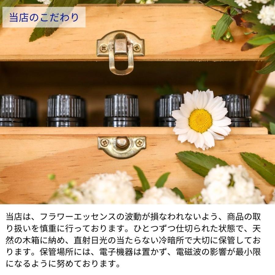 フラワーエッセンス エマージェンシースプレー スペースクリアリング