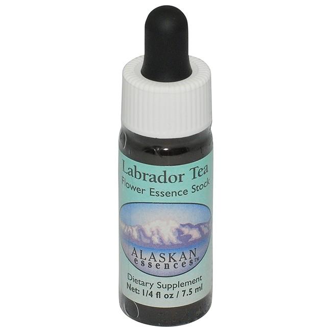 ラブラドールティー アラスカンエッセンス フラワーエッセンス