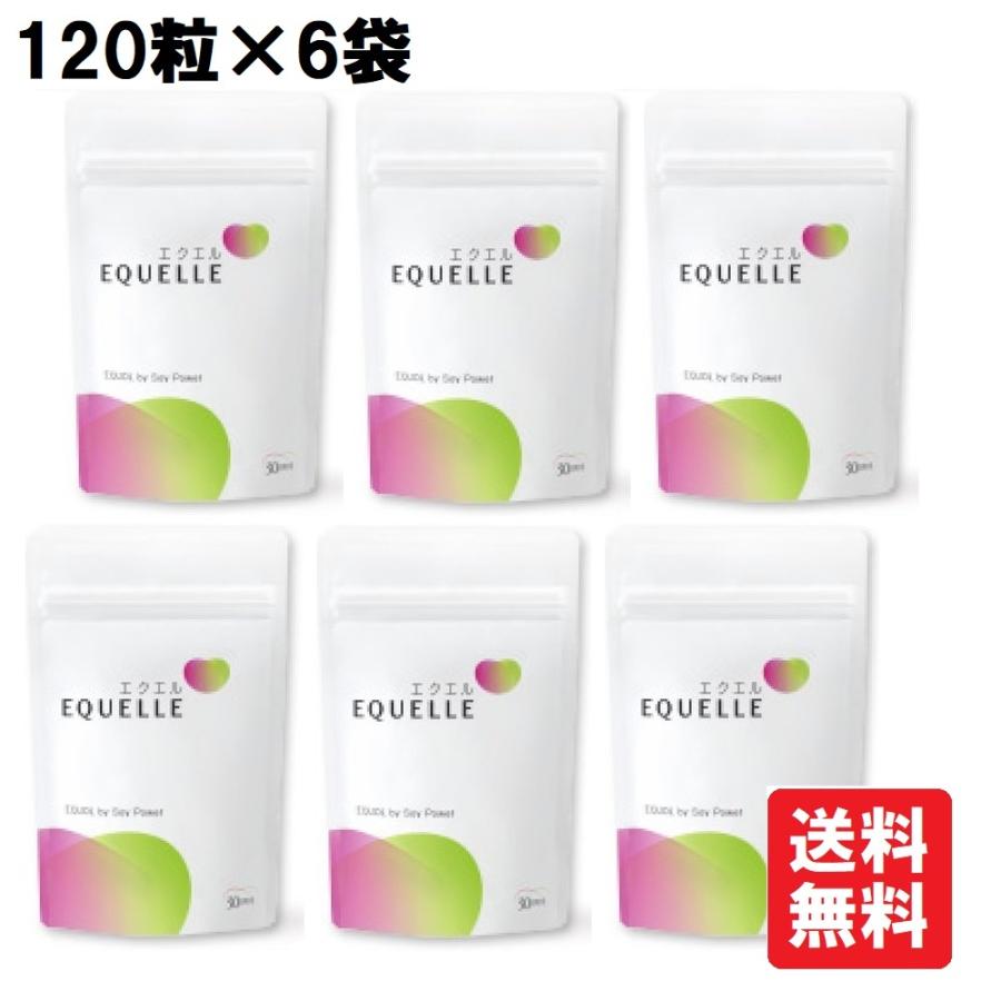 大塚製薬 エクエル パウチ 120粒×6袋 エクオール （クリックポスト発送