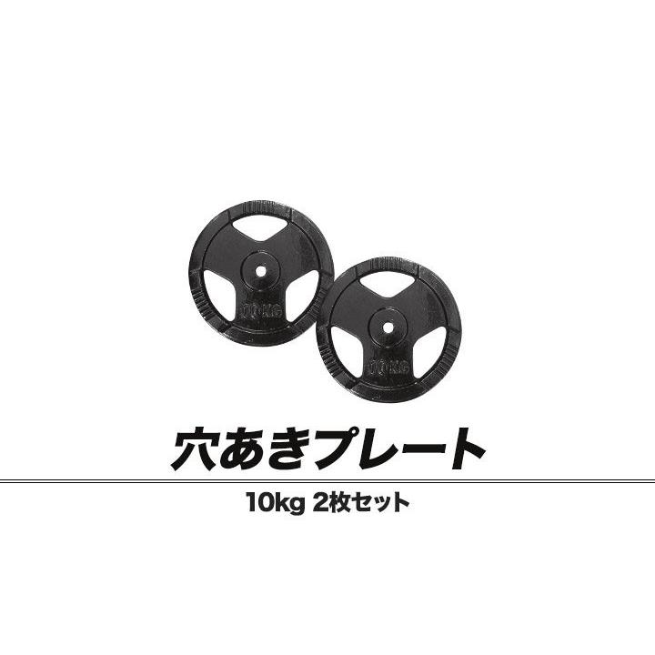 1年保証 バーベル 用 プレート 穴あき 10kg 2個セット 追加 ダンベル
