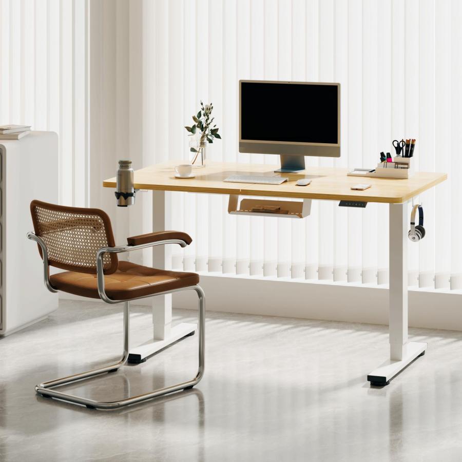 FlexiSpot 昇降式デスク 電動 昇降デスク Sanodesk E150 Basic