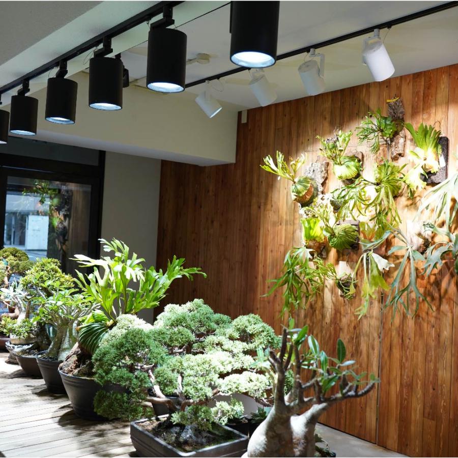 植物育成LEDライト BARREL(バレル) HADES(ハデス) ライティングダクト