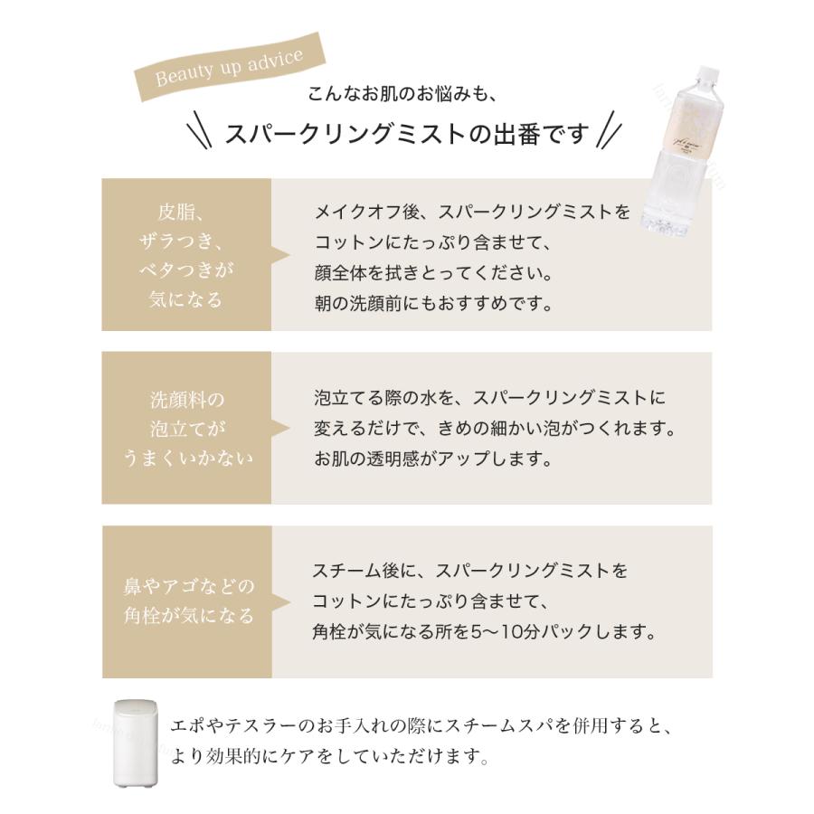 10本セット】【ホメオスタイル公認ストア】 スチーマー用炭酸純水 美顔