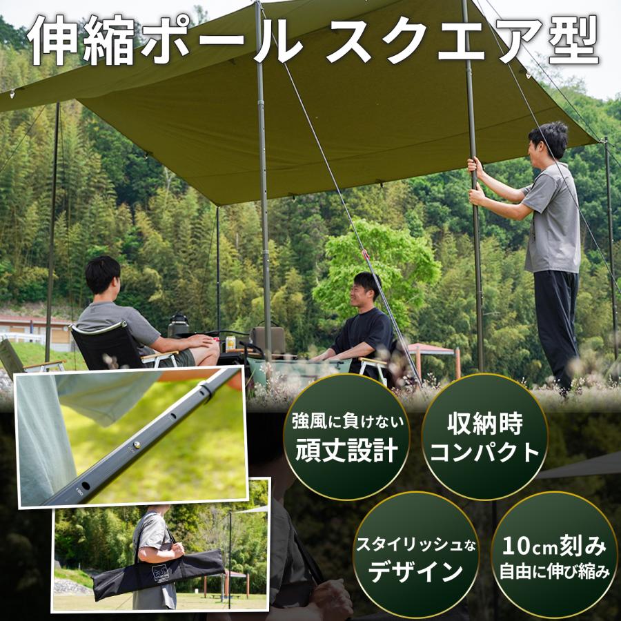 FUTURE FOX 伸縮ポール 2本セット キャンプ タープポール テントポール