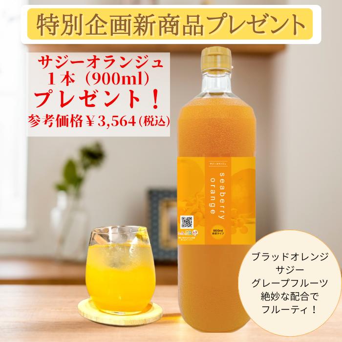 ドリンク1本プレゼント付 サンザシドリンク 6本 S6P2 セット 美容