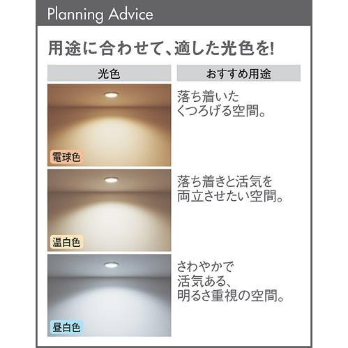Panasonic（パナソニック） 〔即納〕LEDダウンライト セット 昼白色