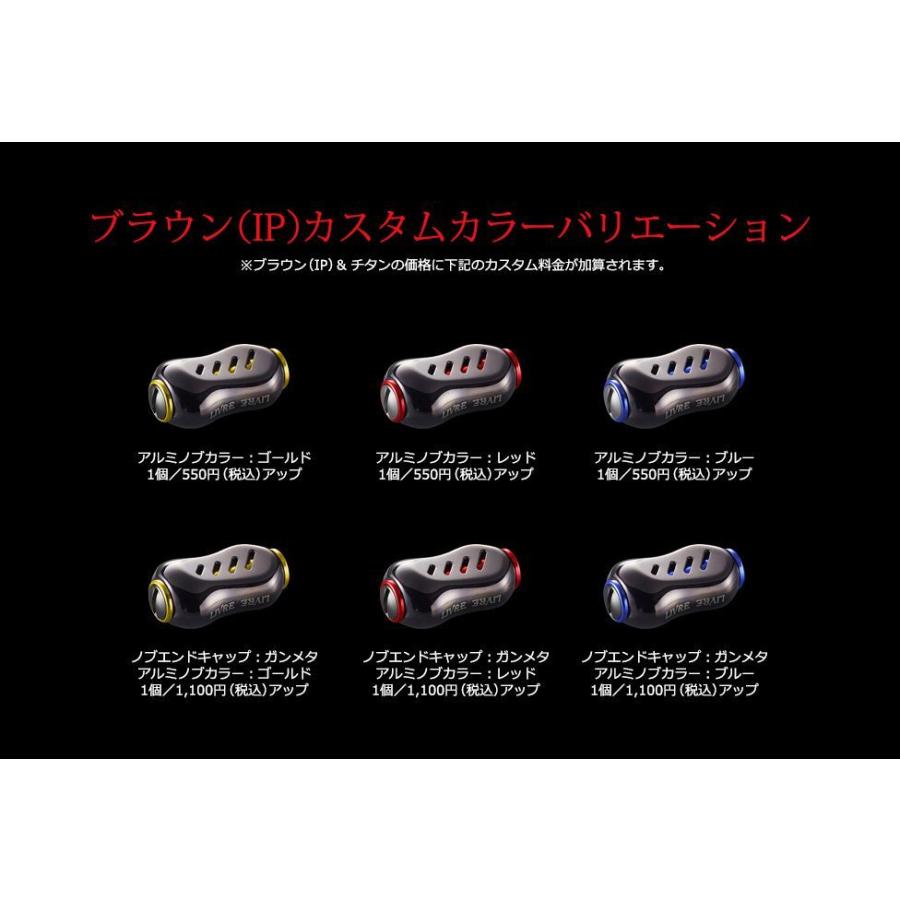 fino フィーノ 2個 ブラウンIP ファイヤー 各種 Livre リブレ ハンドル