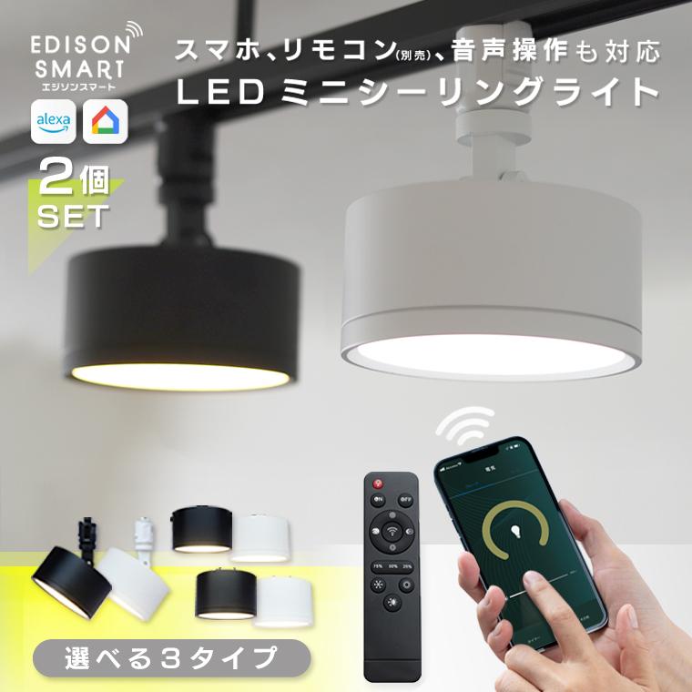 Edison Smart（エジソンスマート） ダクトレール用 照明 2個セット 引