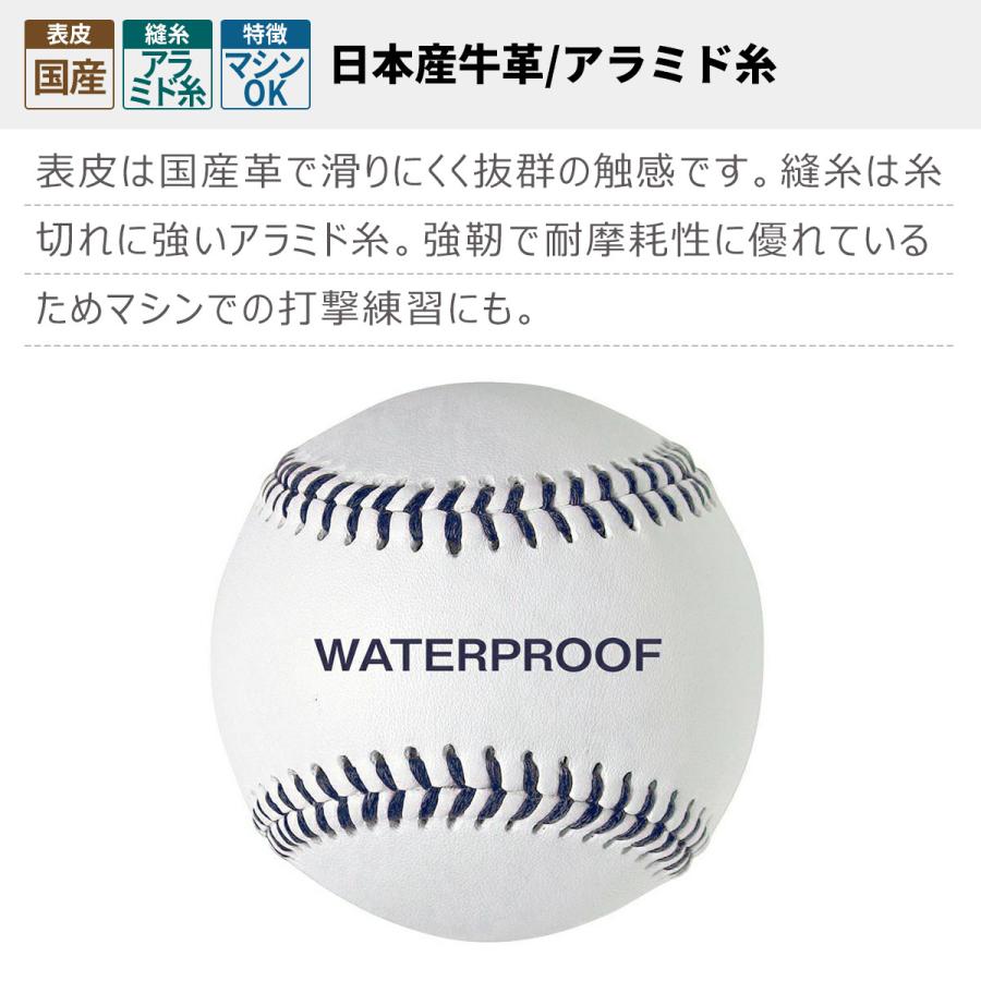 LINDSPORTS（リンドスポーツ） 硬式野球ボール 防水加工 1ダース（12球