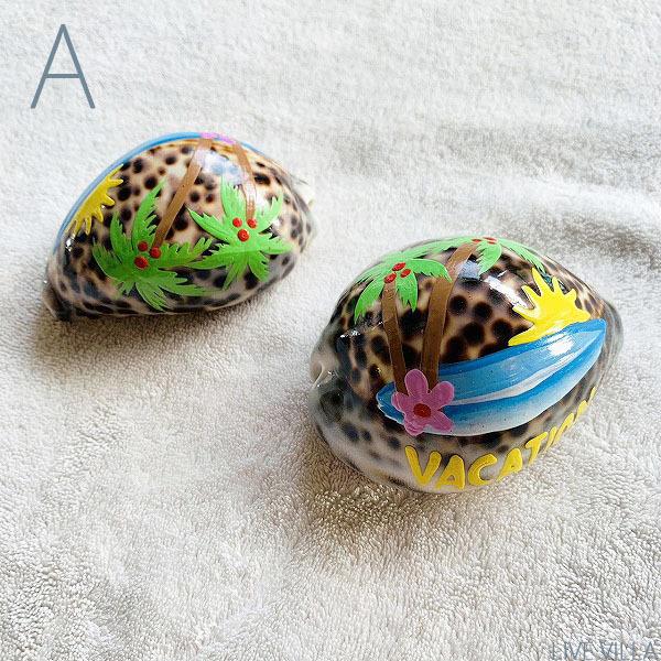 マリン 貝殻 シェル デコレーション アート タカラガイ 貝 オブジェ