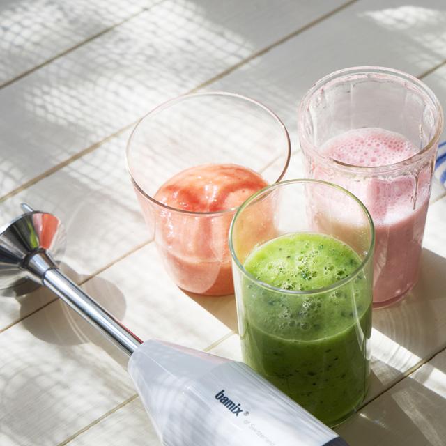 bamix（バーミックス） フードプロセッサー M300 スマート02 アンスラ