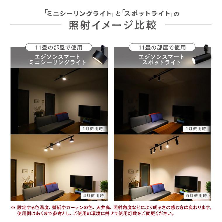 Edison Smart（エジソンスマート） ダクトレール用 照明 2個セット 引