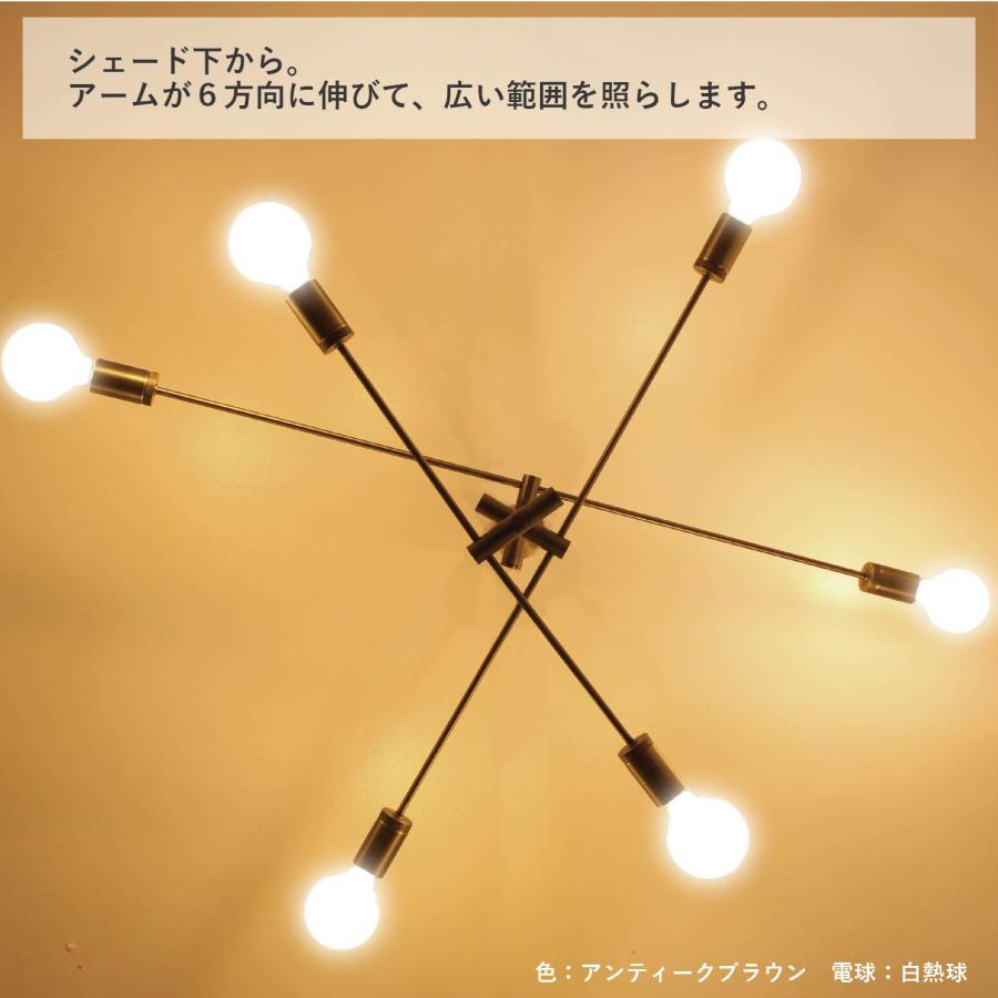 DI CLASSE（ディクラッセ） カーディナル ブラック ペンダントライト