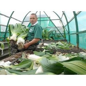 巨大ねぎ 種 20粒 : Luckyseed - 通販 - Yahoo!ショッピング