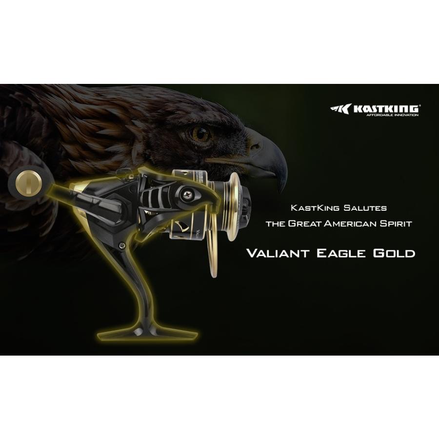 KASTKING（カストキング） Kastking 1000 Valiant Eagle Spinning Reel