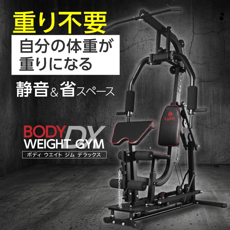 ライシン ホームジム DX マルチ トレーニング 器具 セット 総合 大型