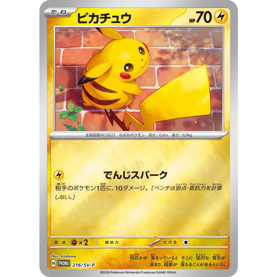 ポケモンカードゲーム ピカチュウ P 216/SV-P : メモリーオンライン