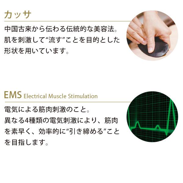 EBiS かっさ EMS かっさ美顔器 電動かっさ カッサ 美顔器 フェイスかっ