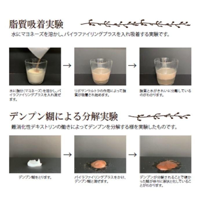 PYR FILING PLUS パイラ ファイリング プラス 45包入り【2箱セット