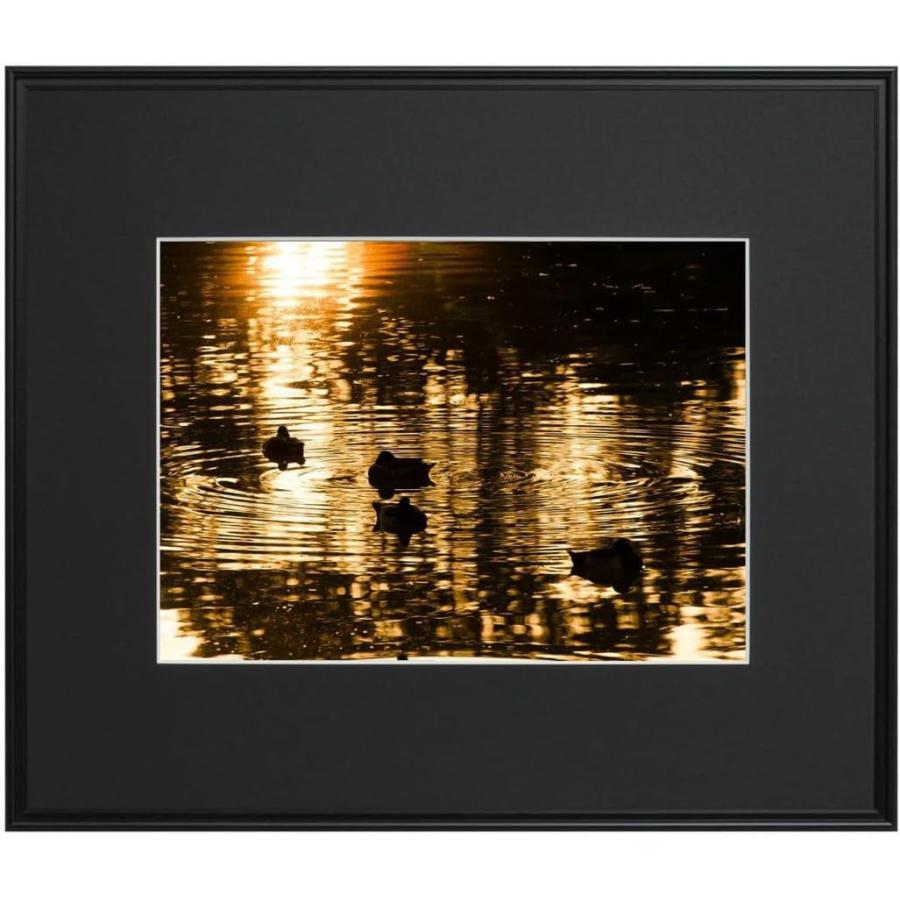 FUJIFILM（フジフイルム） お取り寄せ フジカラー 高級 おしゃれ 額縁