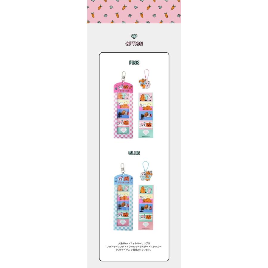 SEVENTEEN 公式グッズ BONGBONGEE x MUZIK TIGER 4カットフォト