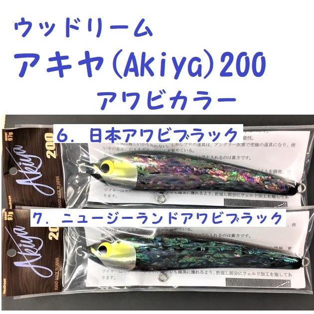 ウッドリーム アキヤ200 アワビカラー / WooDream Akiya : 松本釣具店