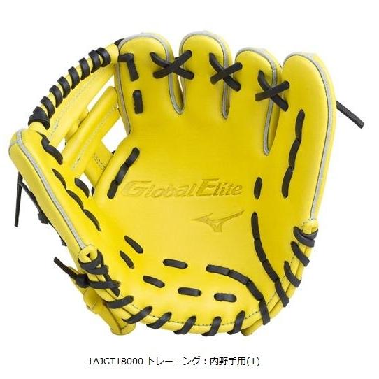 MIZUNO（ミズノ） 硬式用 トレーニンググラブ 1AJGT18000 1AJGT18010