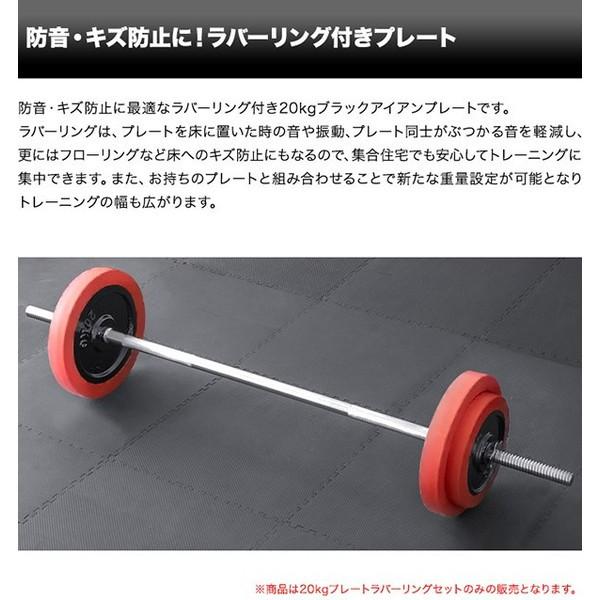 FIELDOOR（フィールドア） バーベル 用 プレート 20kg 2個セット