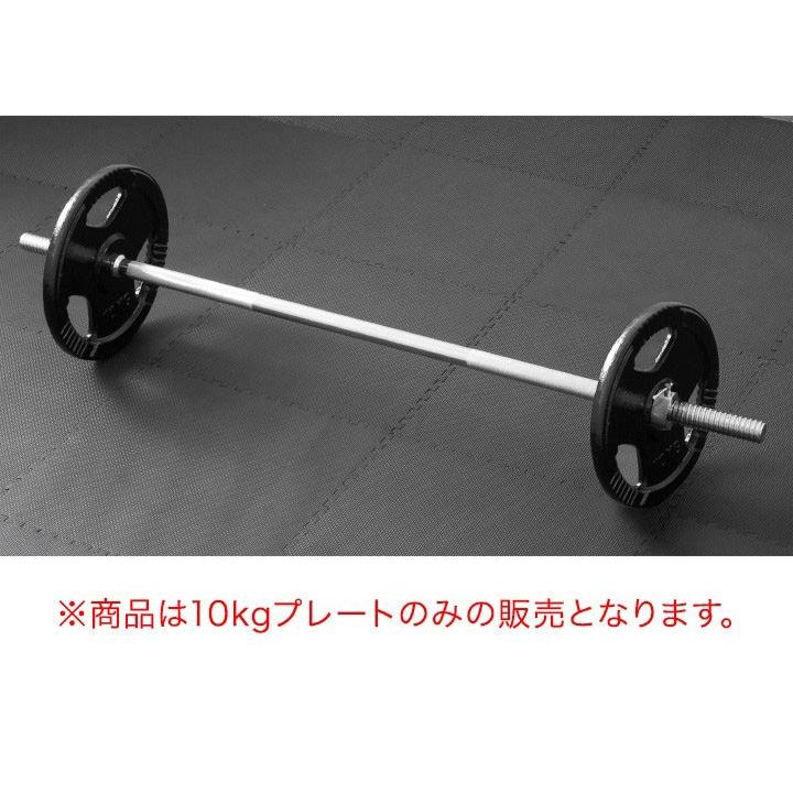 バーベル 用 プレート 穴あき 10kg 2個セット 追加 ダンベルプレート