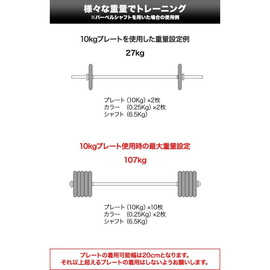 バーベル 用 プレート 穴あき 10kg 2個セット 追加 ダンベルプレート