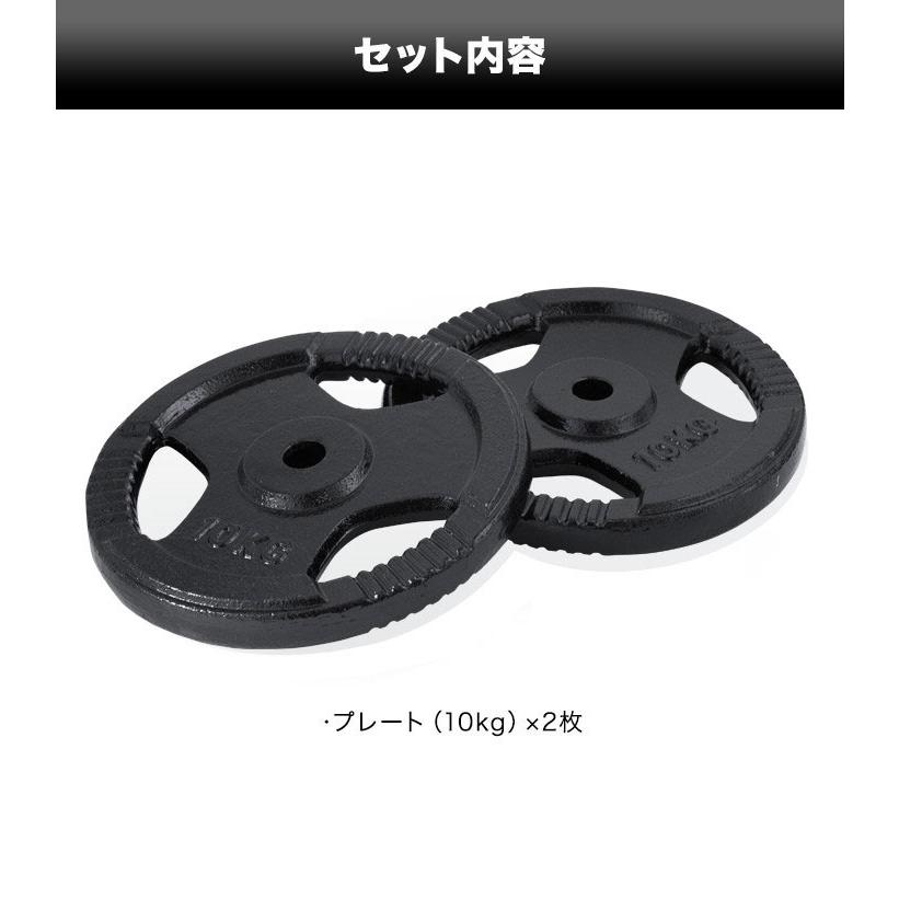 バーベル 用 プレート 穴あき 10kg 2個セット 追加 ダンベルプレート