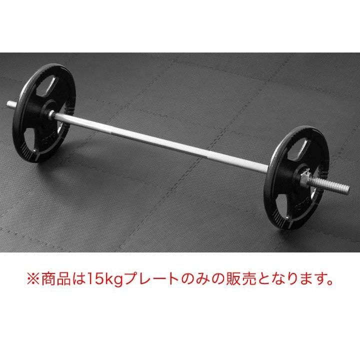 バーベル 用 プレート 穴あき 15kg 2個セット 追加 ダンベルプレート