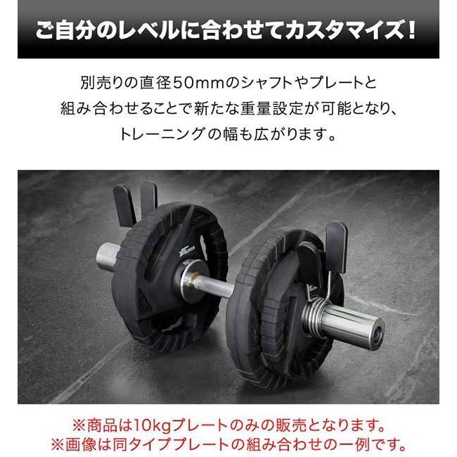 ダンベルプレート 穴あき 10kg 2枚セット 穴径50mm 追加 バーベル用