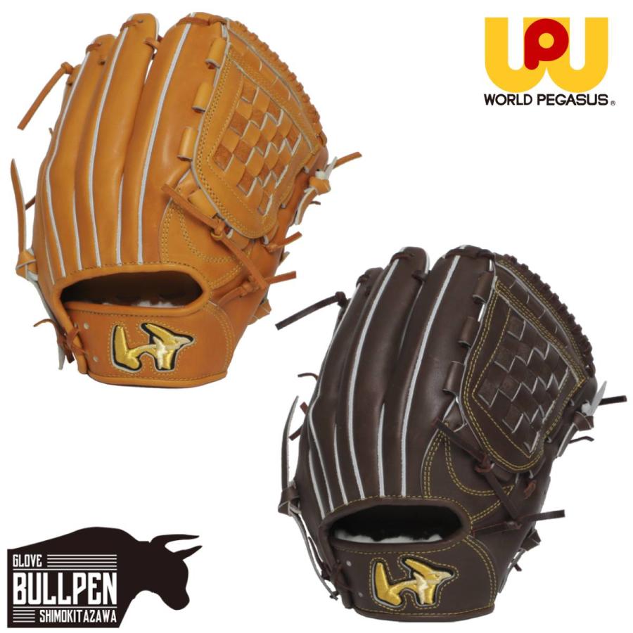 ワールドペガサス（WORLD PEGASUS） 専用グラブ袋付き グランド