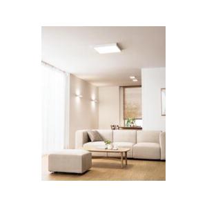 ODELIC（オーデリック） シーリングライト 【OL291508BR】【OL 291