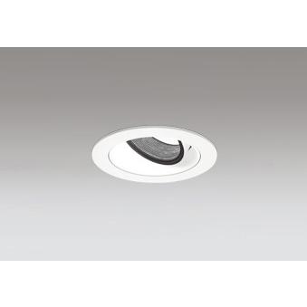 ODELIC（オーデリック） 店舗・施設用照明 テクニカルライト ダウン