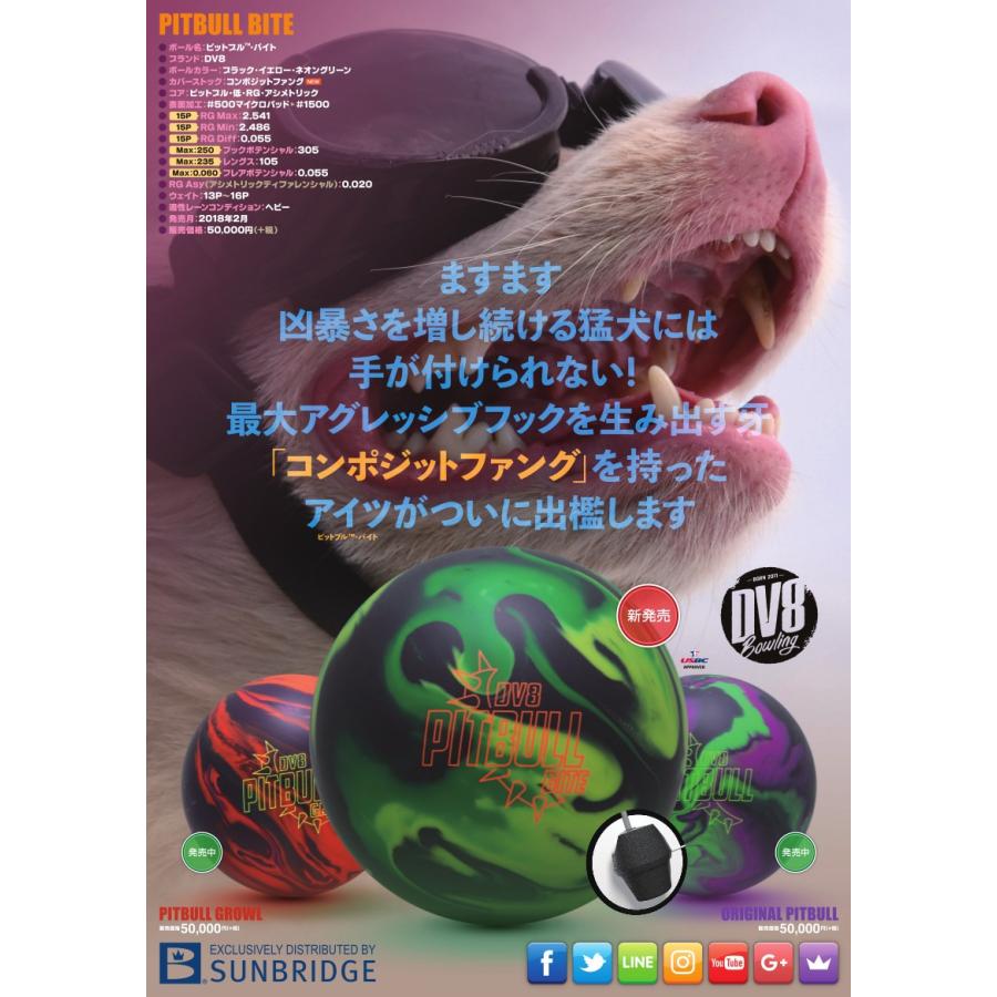 SALE】 ピットブル バイト DV8 / PITBULL BITE : メビウス ストア