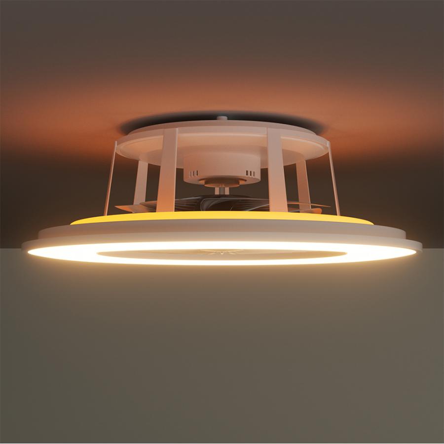 シーリングファンライト 8畳 10畳 薄型 軽量 調光調色 シーリング