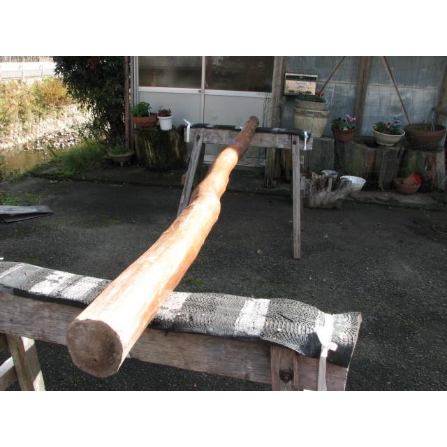 変木 サルスベリ 3000x82~85~97 : めいぼくや webshop - 通販 - Yahoo