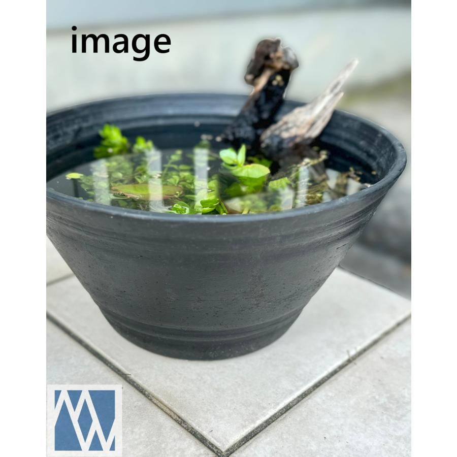 睡蓮鉢（メダカ鉢）プラスチック製 39号 : MEIWACO Yahoo!ショップ