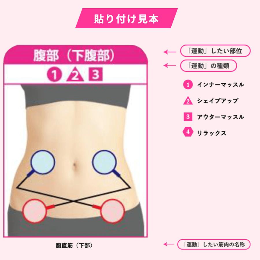 複合高周波EMSマシーン 業務用 EMS パーソナルトレーナー 高性能 筋