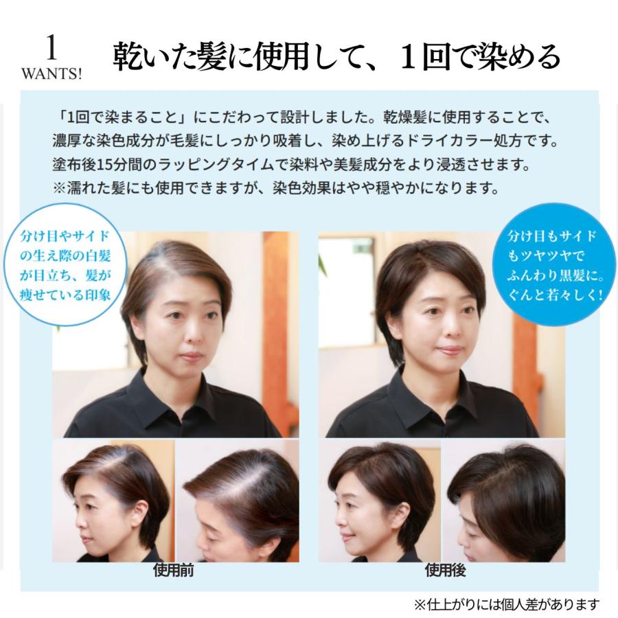 2個セットで420円OFF☆送料無料】1回で染める 白髪染め カラー