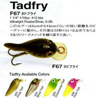 クリックポスト発送可）レーベル タドフライ / REBEL TADFRY : 松本