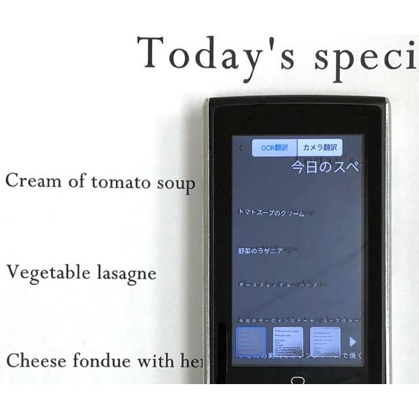 翻訳機 オフライン翻訳 半永久使用可能 グローバルデータSIM付 AI双方