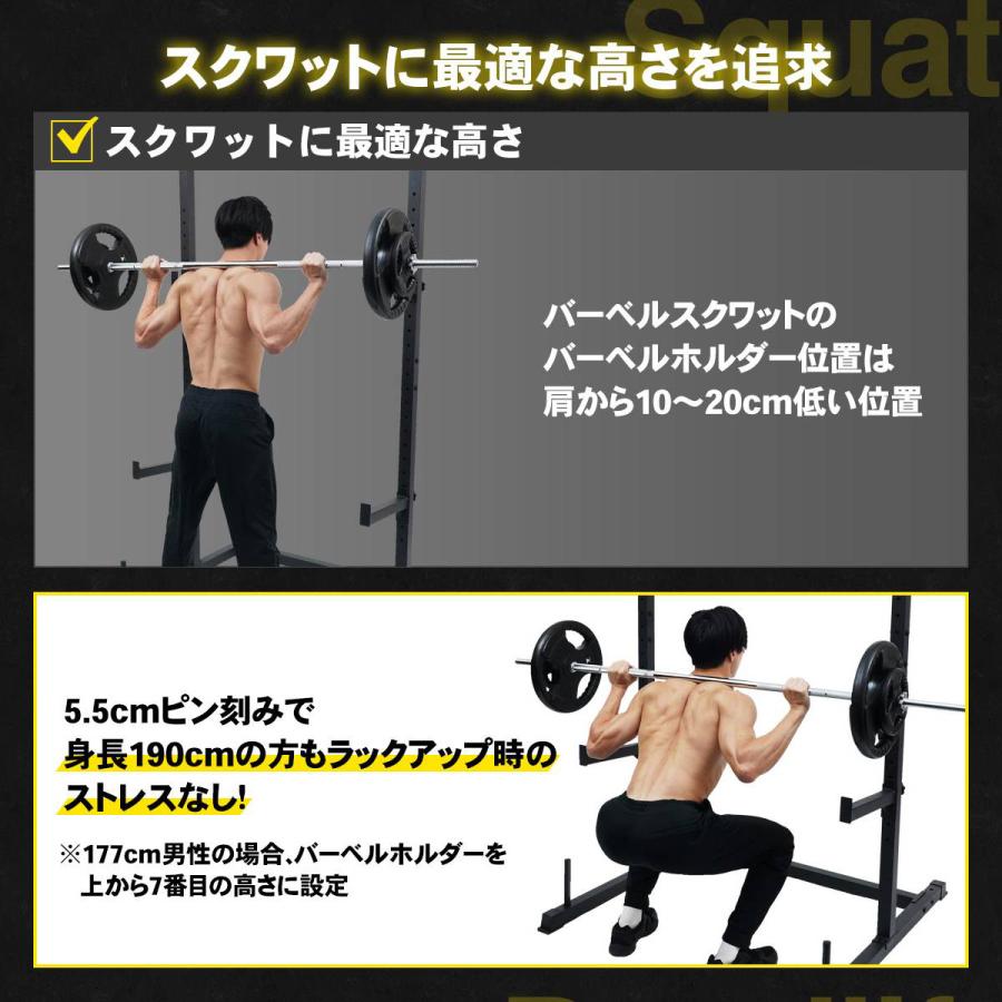 STEADY（ステディ） 懸垂マシン ハーフラック ベンチプレス対応 25段階